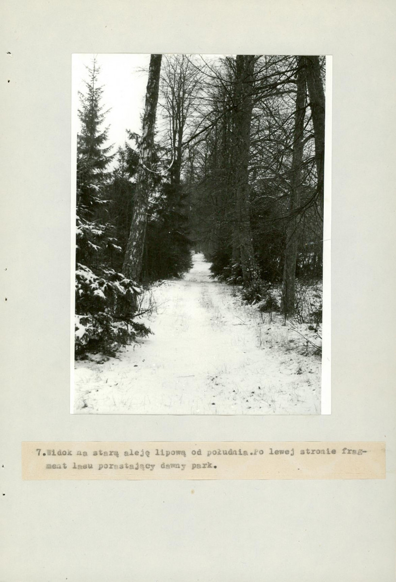 EP - Ewidencja parkowa, skan nr 29
