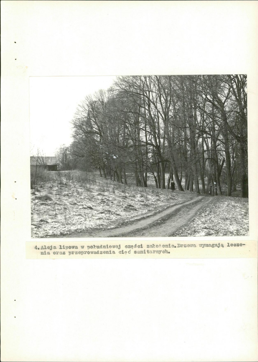 EP - Ewidencja parkowa, skan nr 28