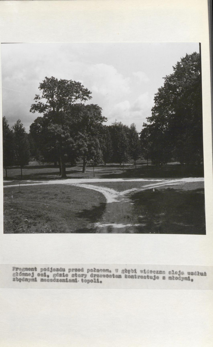 Ewidencja parkowa, skan nr 22