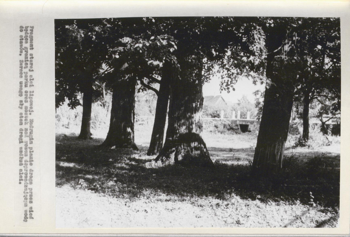 Ewidencja parkowa, skan nr 23