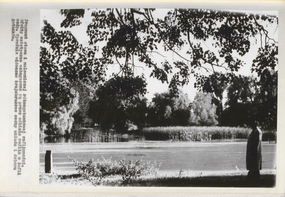 Ewidencja parkowa, skan nr 24