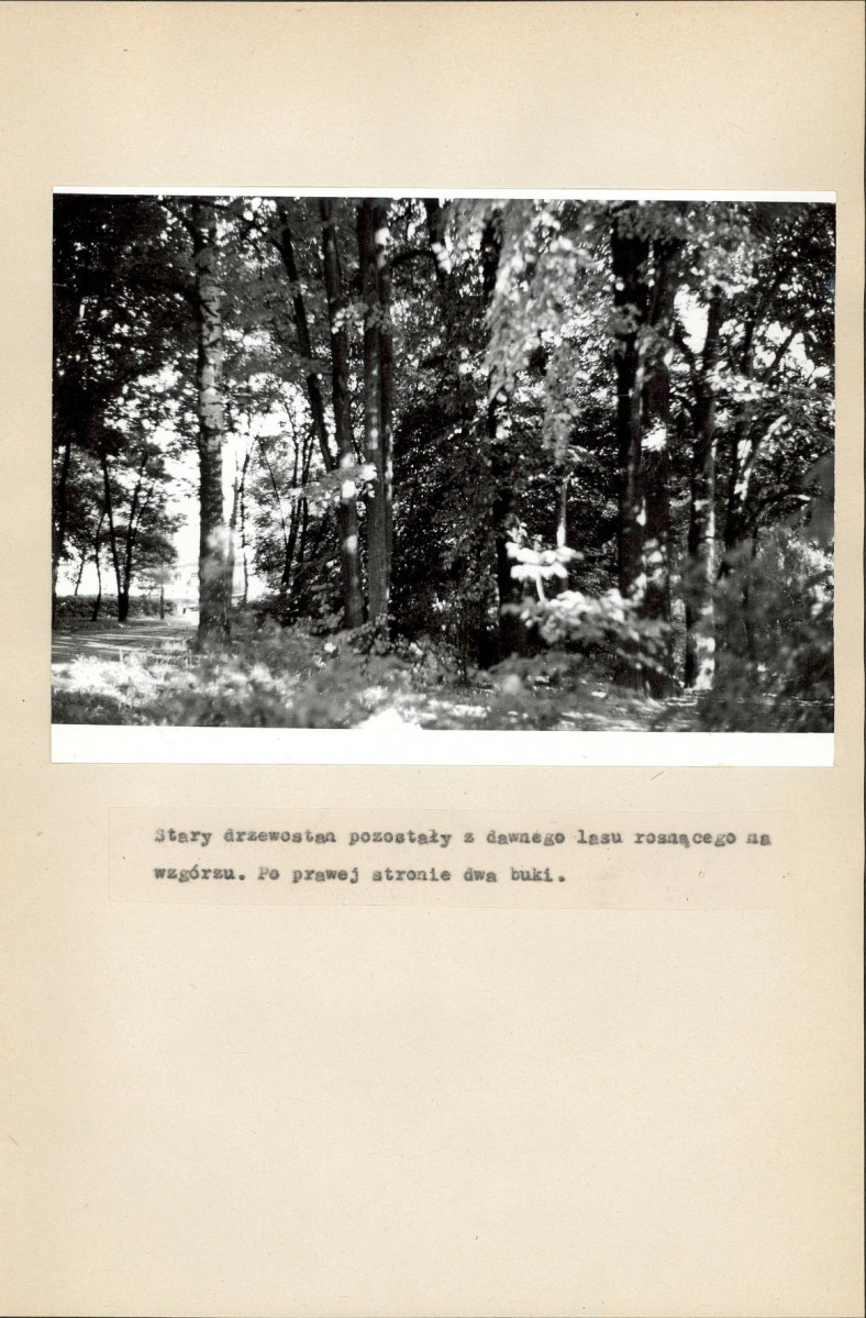 EP - Ewidencja parkowa, skan nr 23