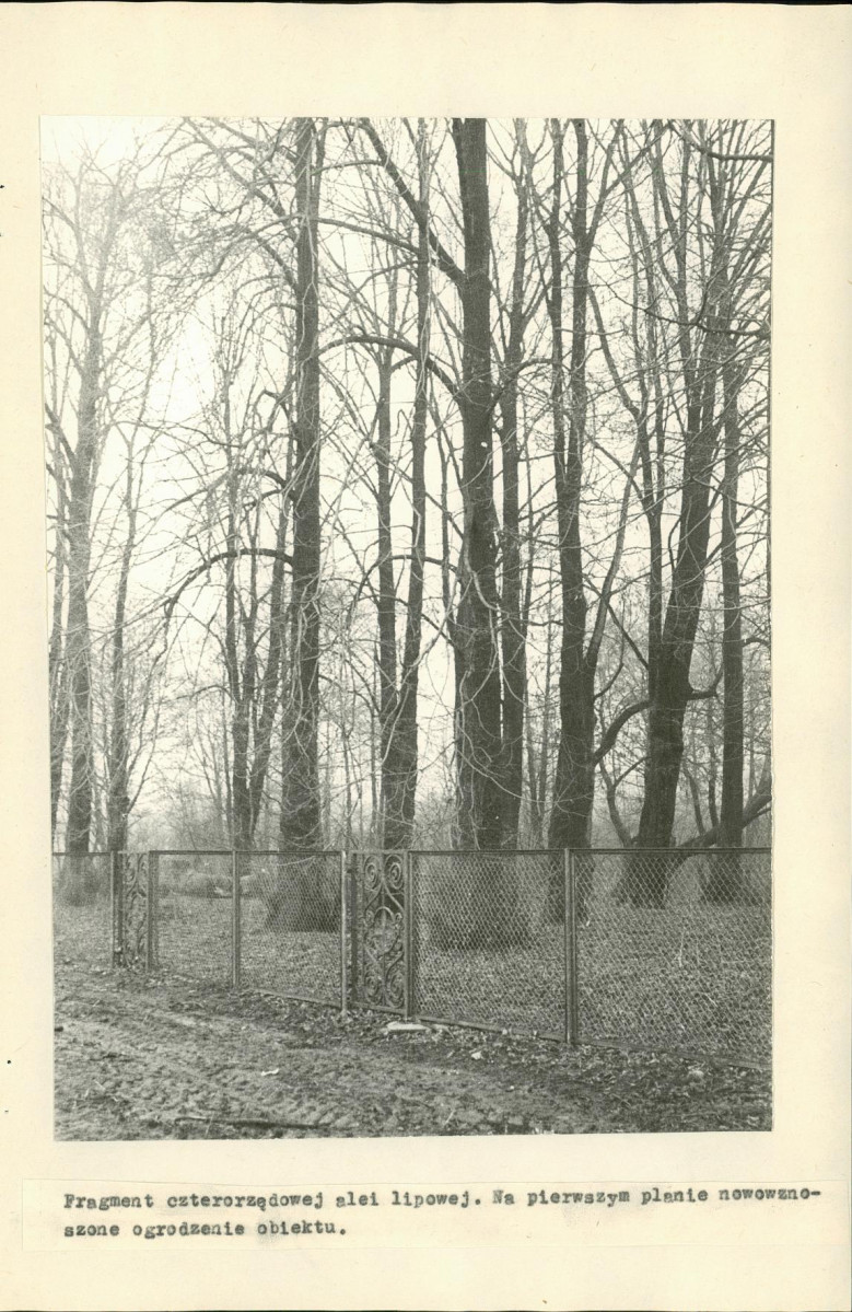 EP - Ewidencja parkowa, skan nr 28