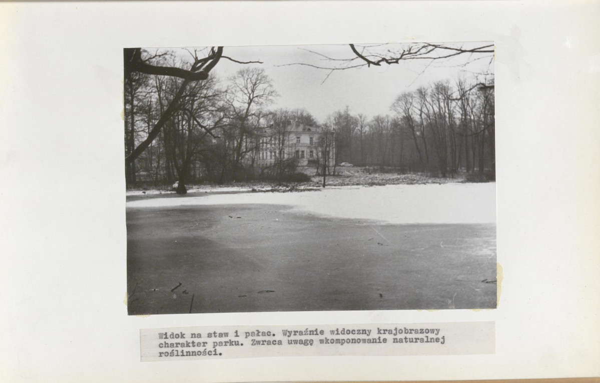 Ewidencja parkowa, skan nr 13