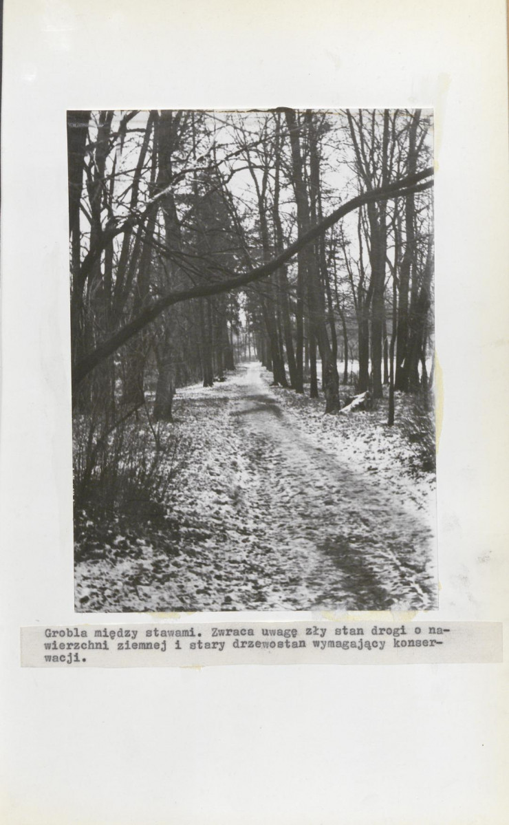 Ewidencja parkowa, skan nr 15