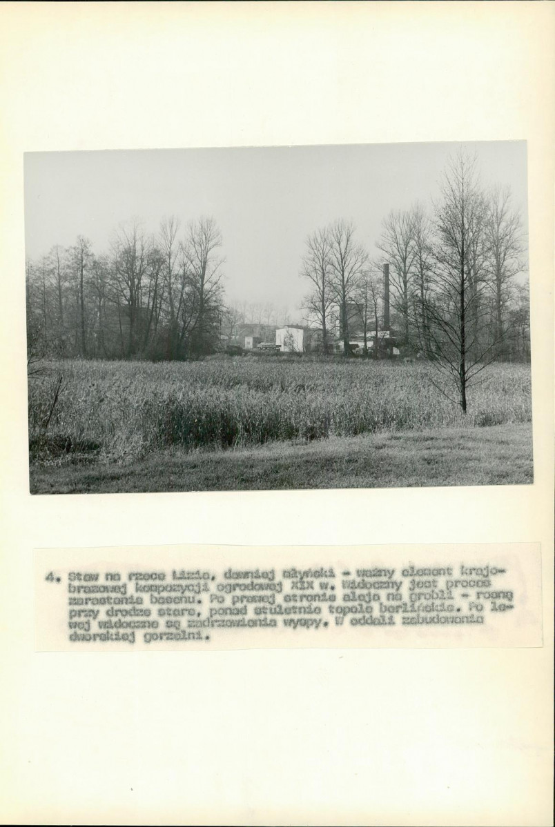 Ewidencja parkowa, skan nr 48