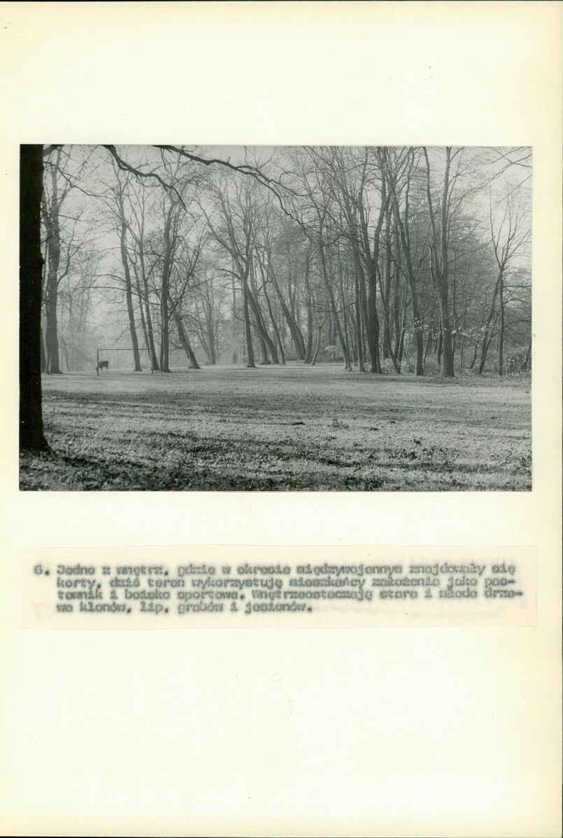 Ewidencja parkowa, skan nr 50