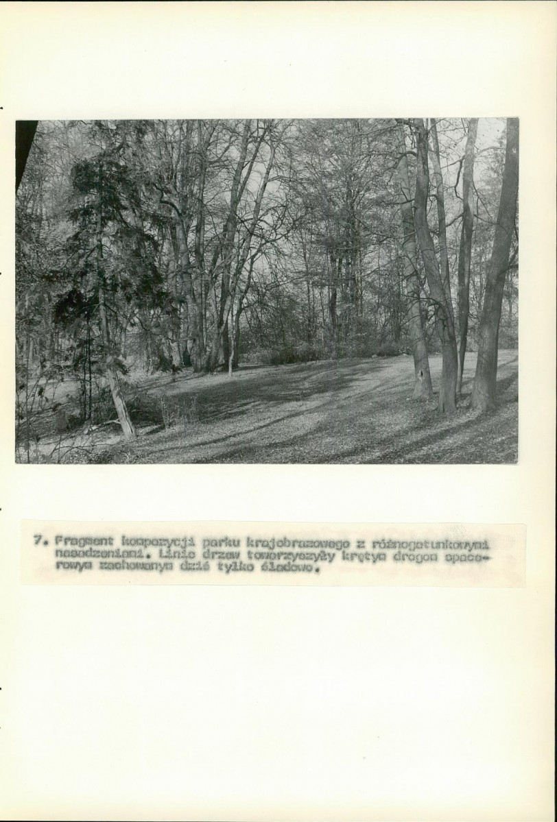 Ewidencja parkowa, skan nr 51