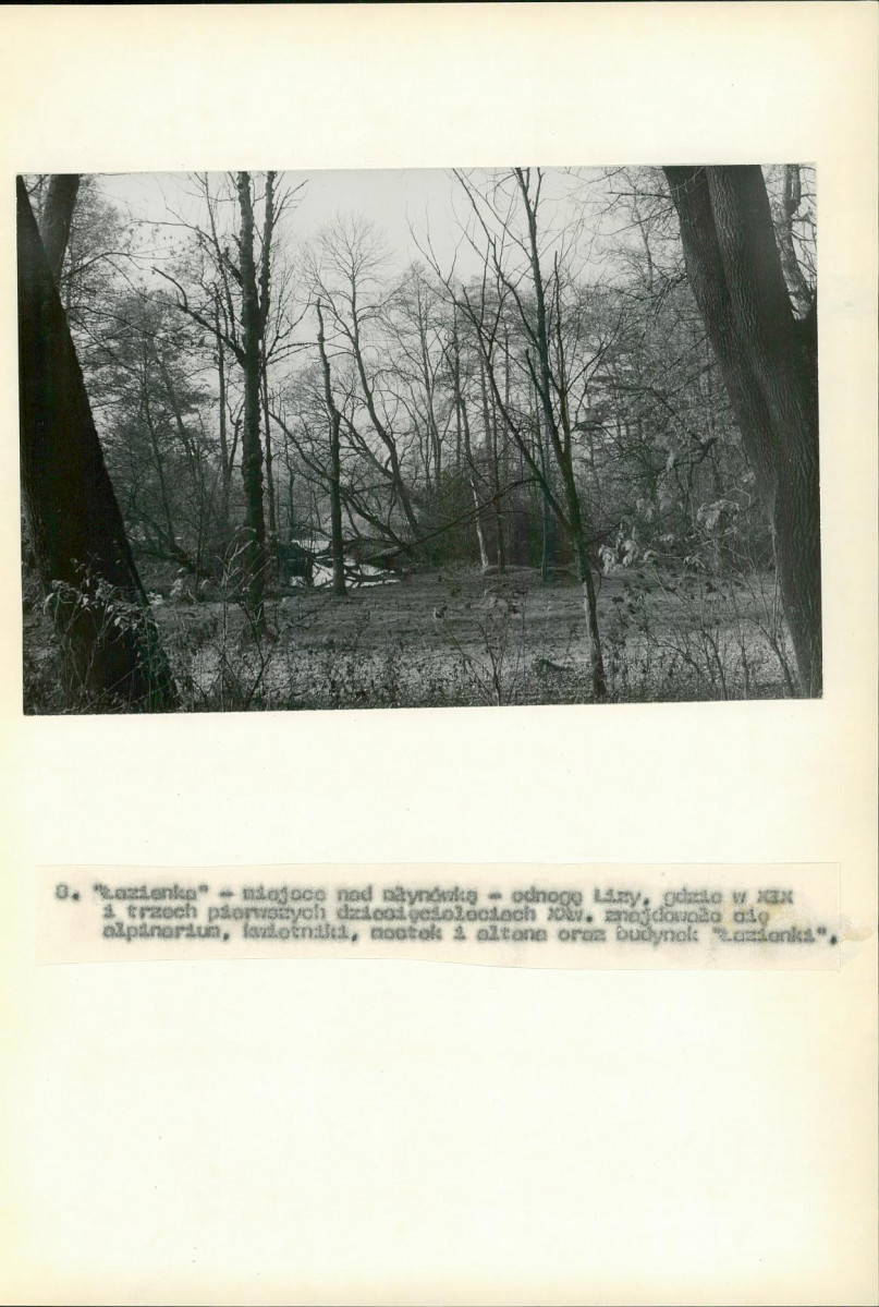 Ewidencja parkowa, skan nr 52