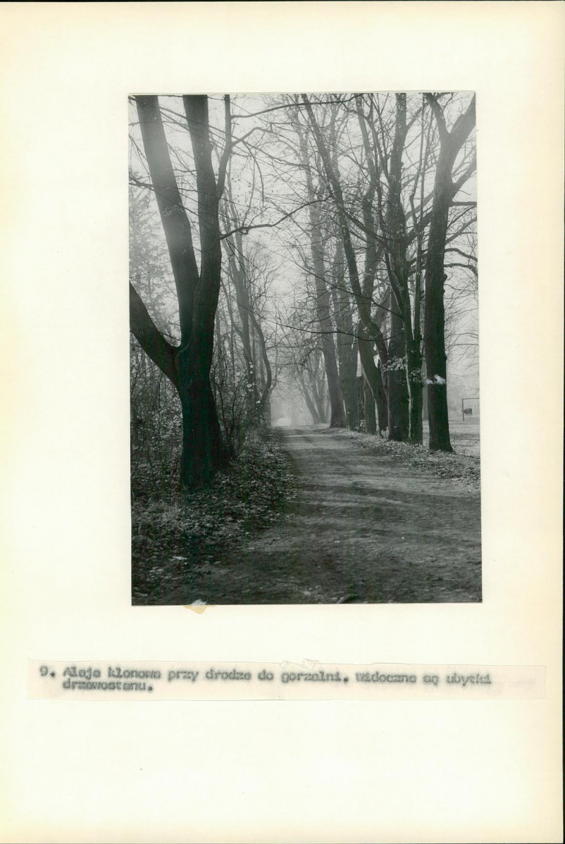 Ewidencja parkowa, skan nr 53