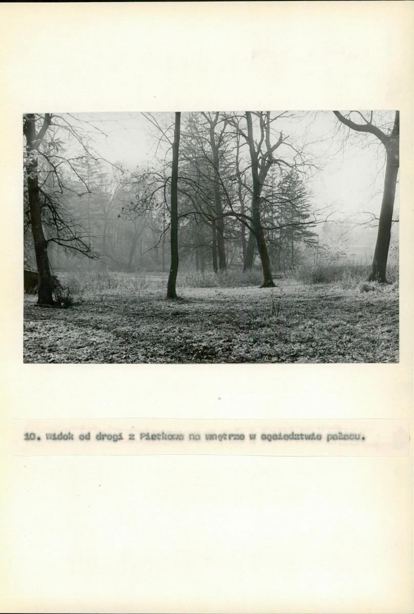 Ewidencja parkowa, skan nr 54