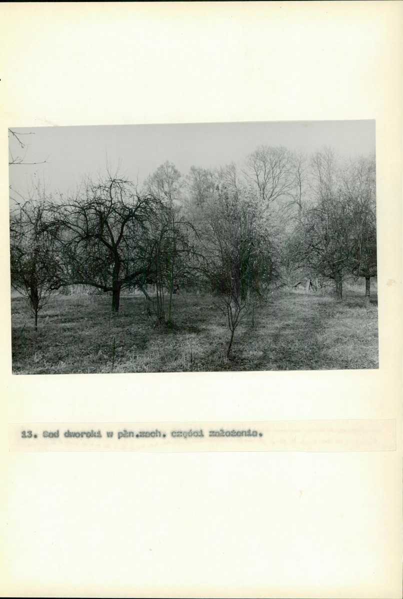 Ewidencja parkowa, skan nr 57