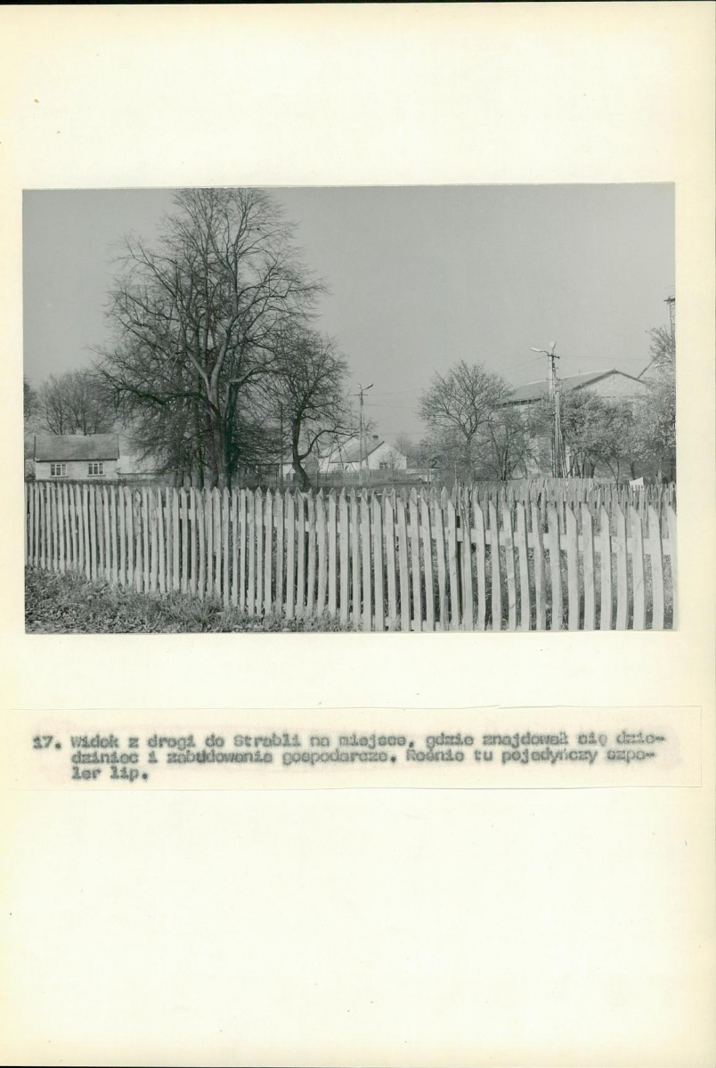 Ewidencja parkowa, skan nr 61