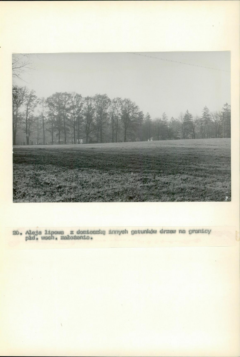 Ewidencja parkowa, skan nr 64