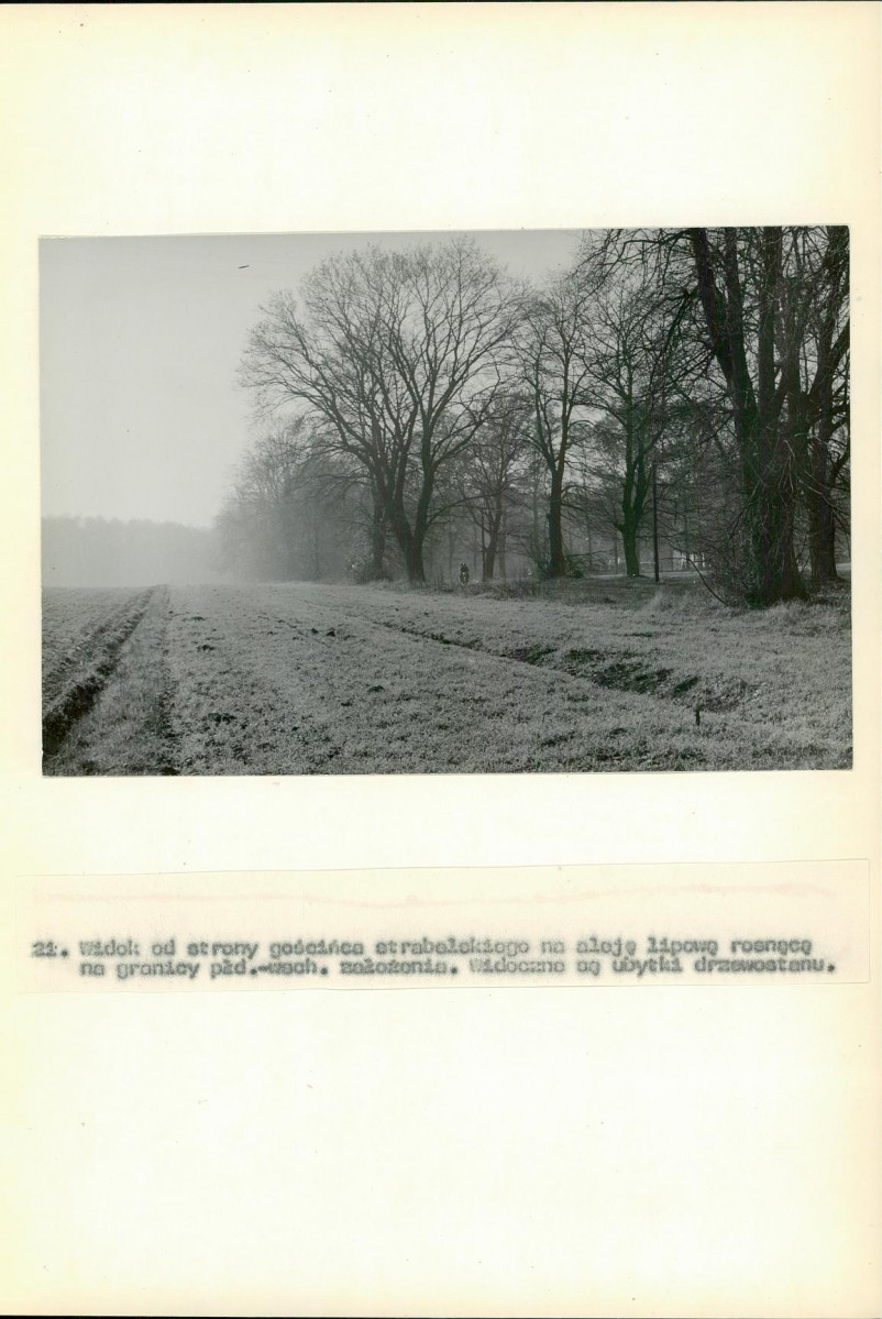 Ewidencja parkowa, skan nr 65