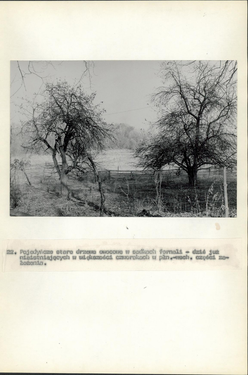 Ewidencja parkowa, skan nr 66