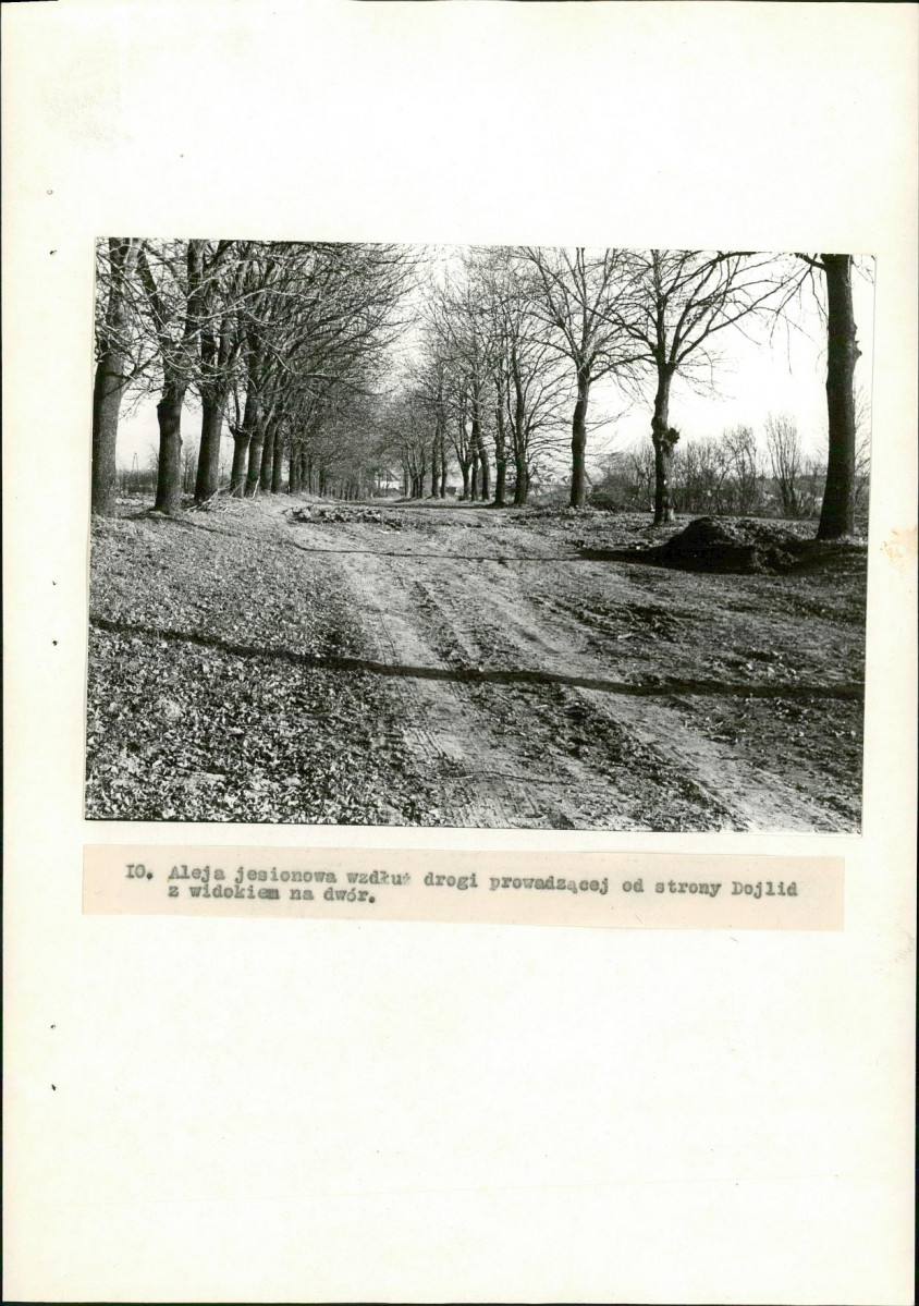 EP - Ewidencja parkowa, skan nr 44