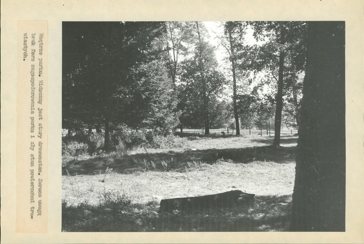 EP - Ewidencja parkowa, skan nr 18