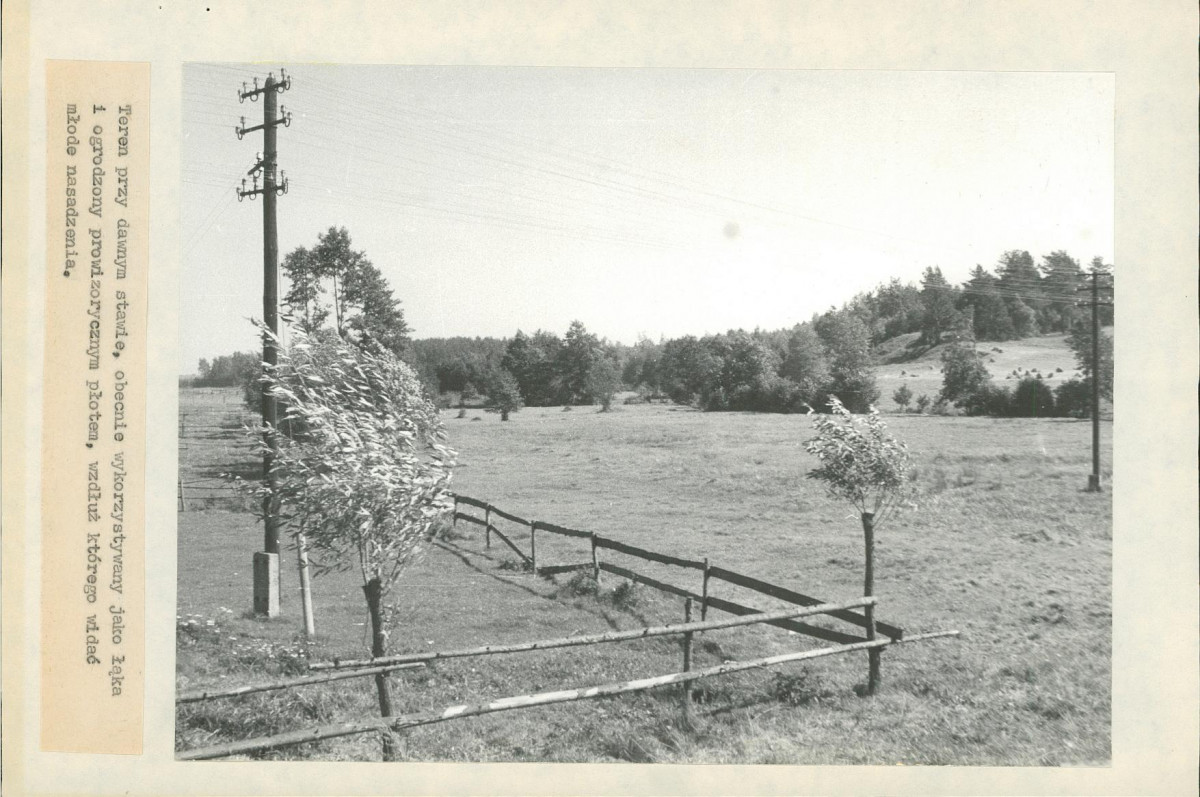 EP - Ewidencja parkowa, skan nr 20