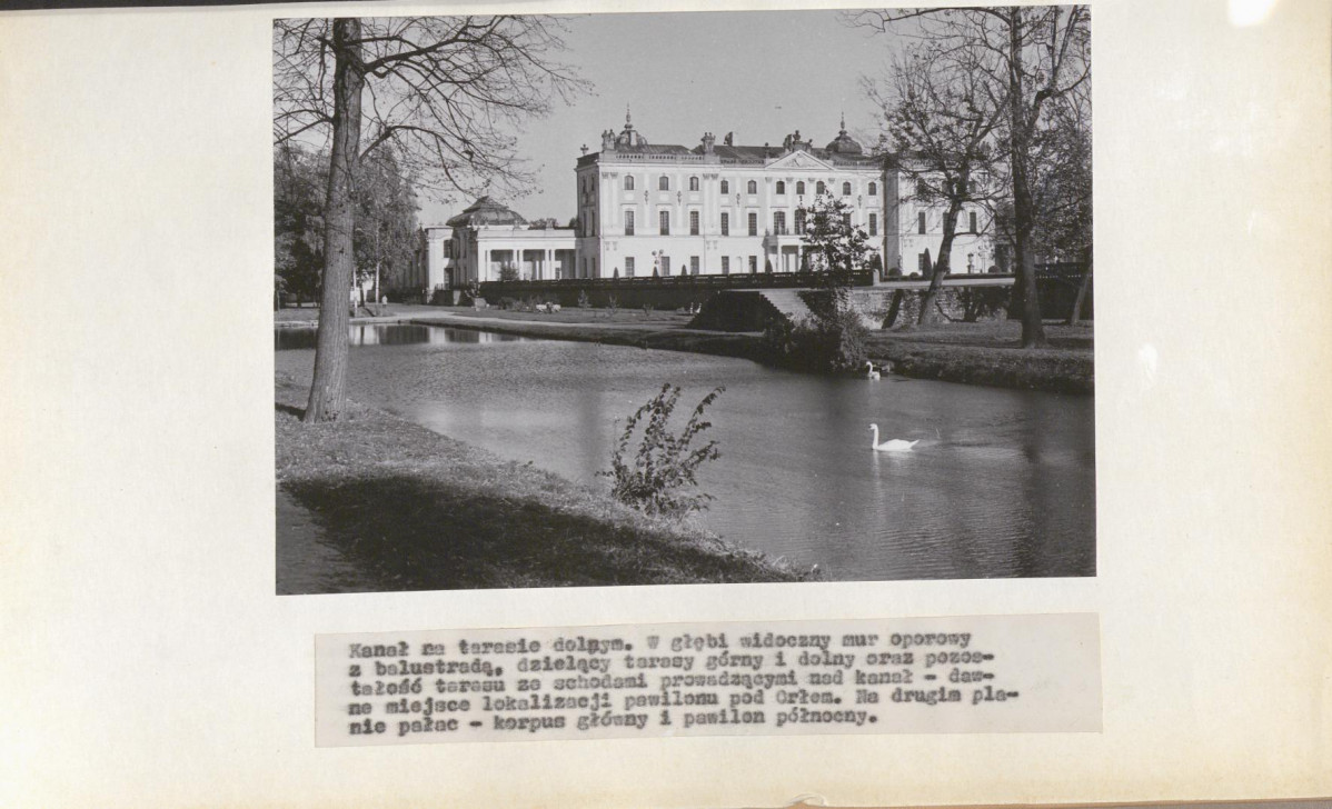 Ewidencja parkowa, skan nr 17