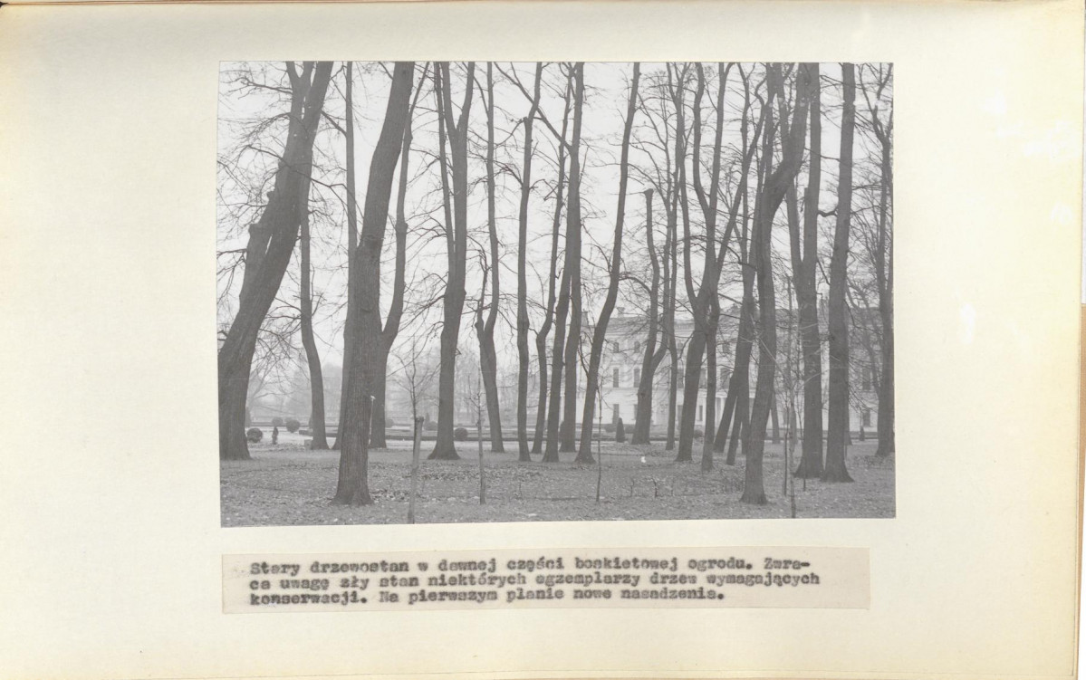 Ewidencja parkowa, skan nr 19