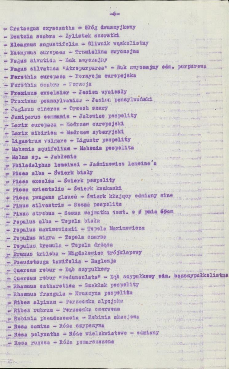Ewidencja parkowa, skan nr 11