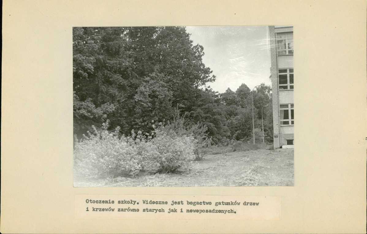Ewidencja parkowa, skan nr 17