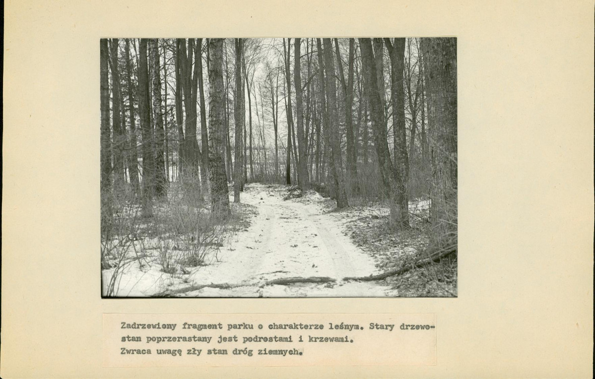 Ewidencja parkowa, skan nr 19