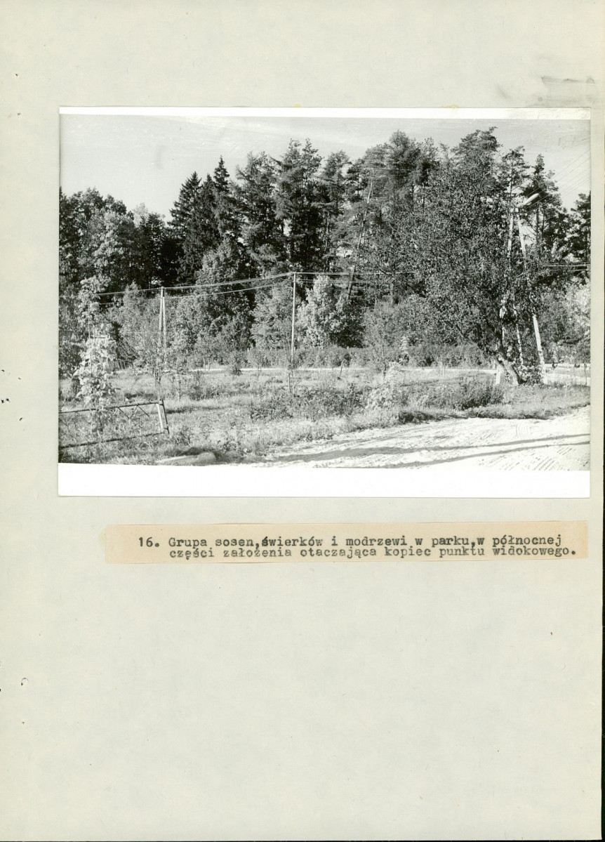 EP - Ewidencja parkowa, skan nr 51