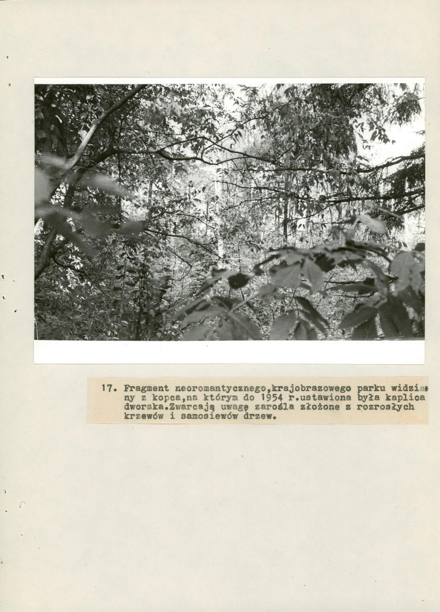 EP - Ewidencja parkowa, skan nr 52