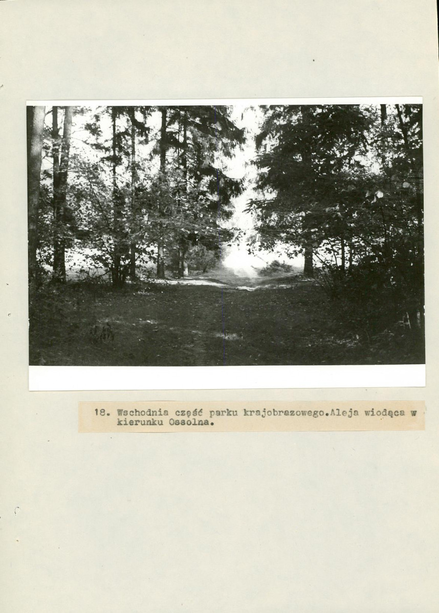 EP - Ewidencja parkowa, skan nr 53