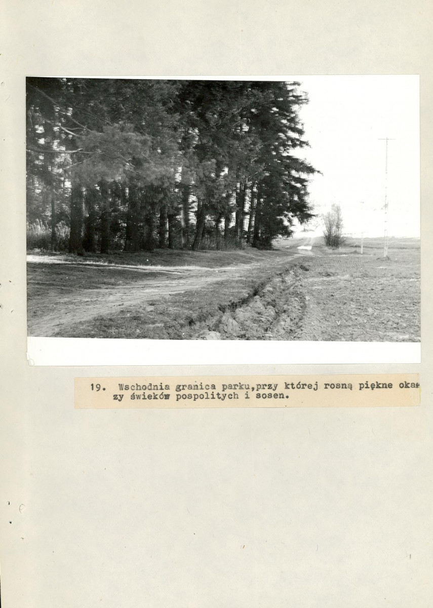 EP - Ewidencja parkowa, skan nr 54