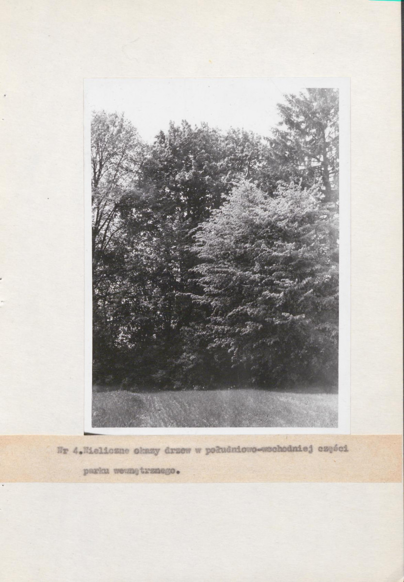 EP - Ewidencja parkowa, skan nr 8