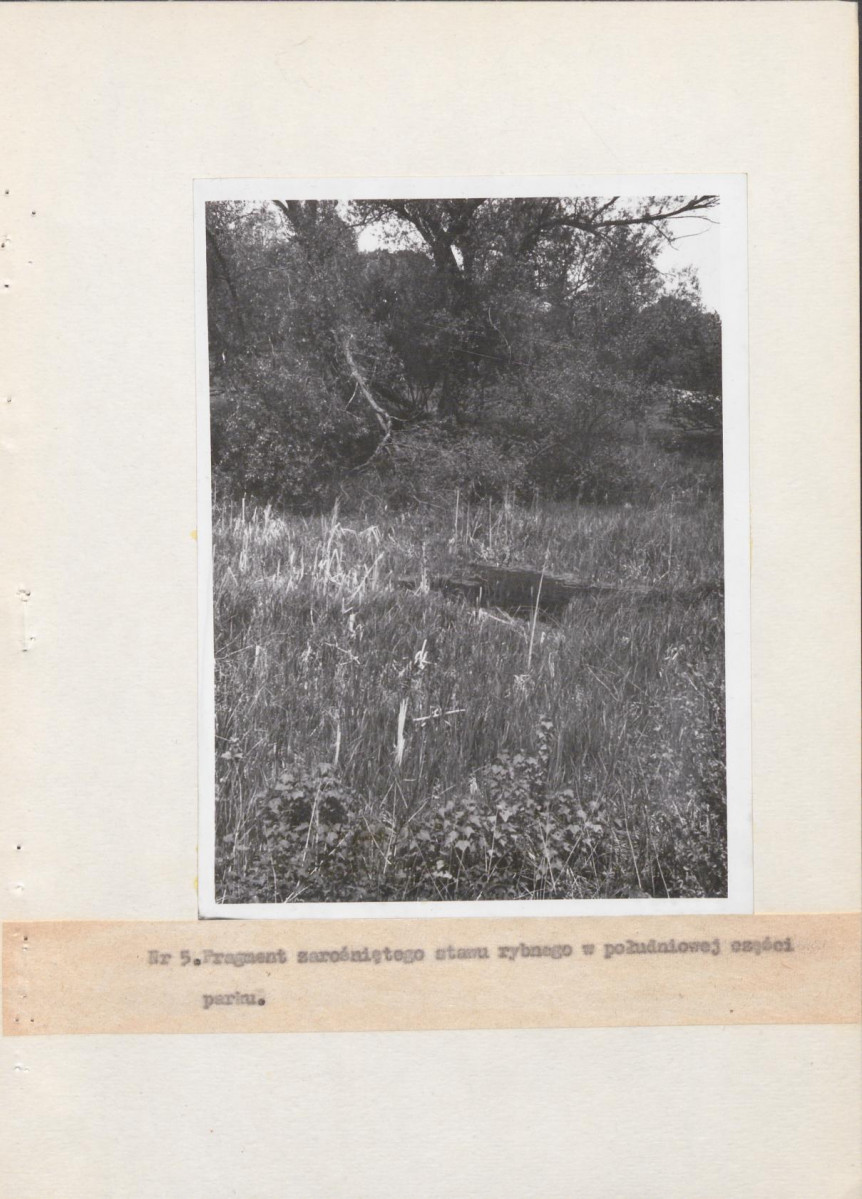 EP - Ewidencja parkowa, skan nr 9