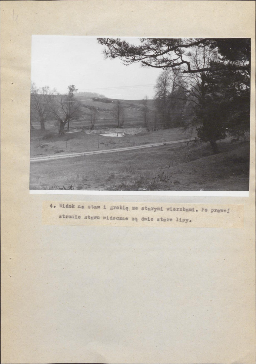 Ewidencja parkowa, skan nr 25