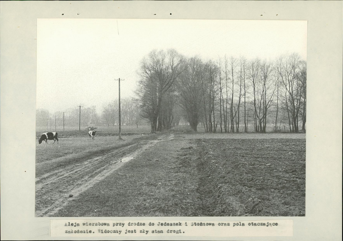 EP - Ewidencja parkowa, skan nr 26