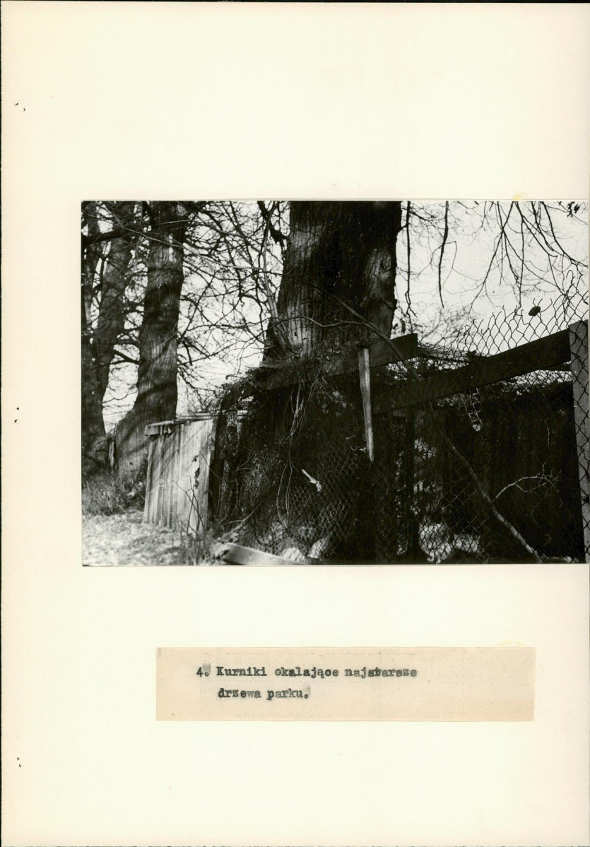 Ewidencja parkowa, skan nr 19