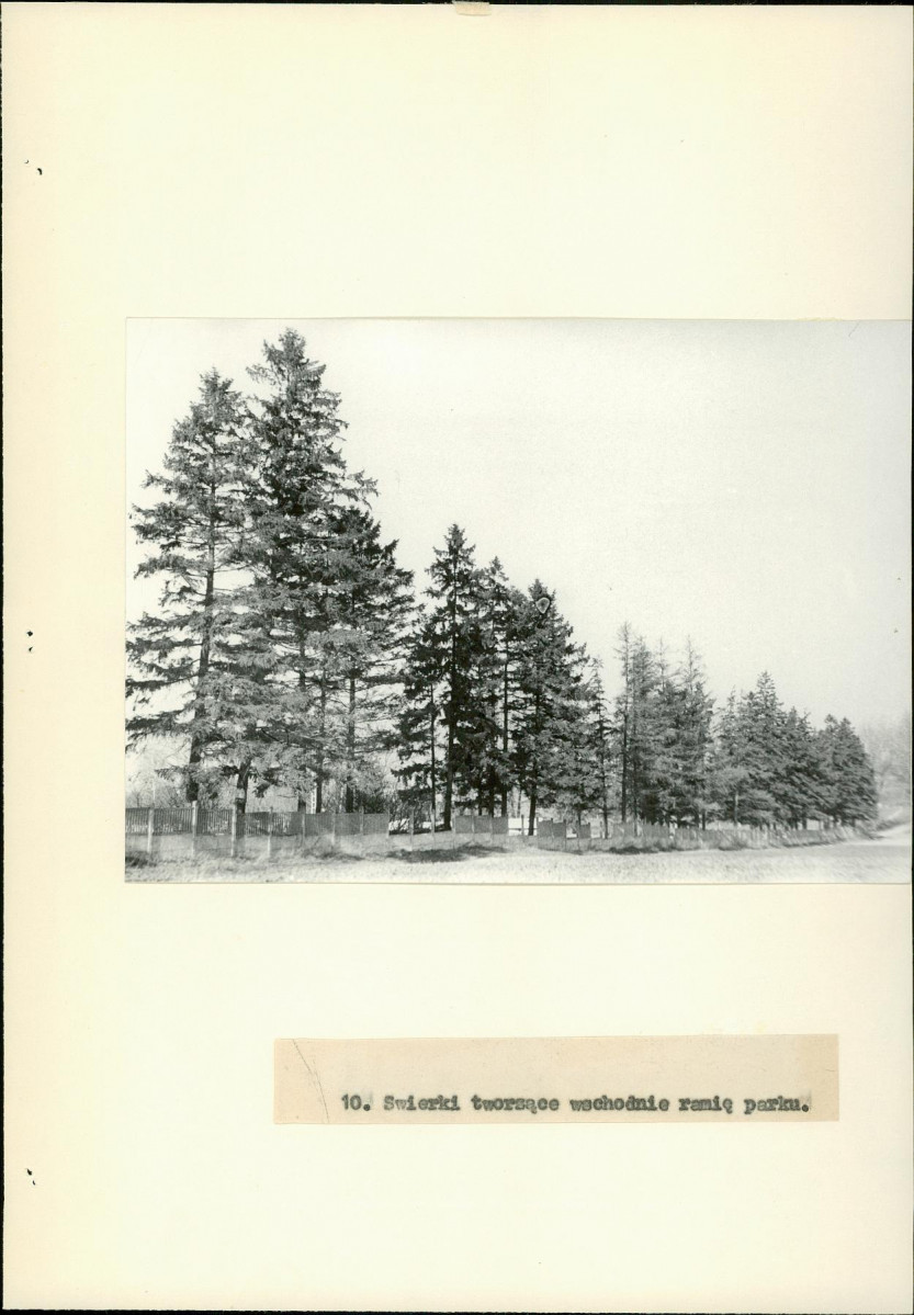 Ewidencja parkowa, skan nr 25