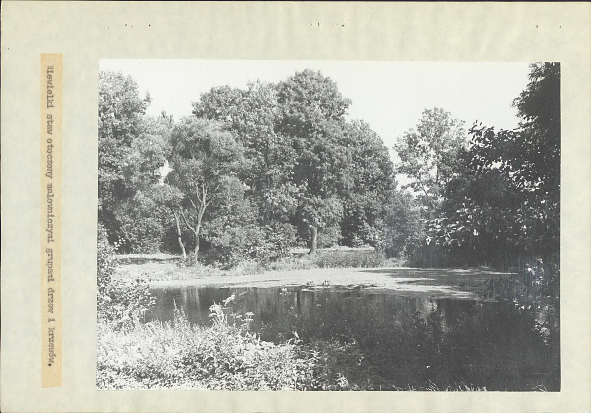 EP - Ewidencja parkowa, skan nr 21