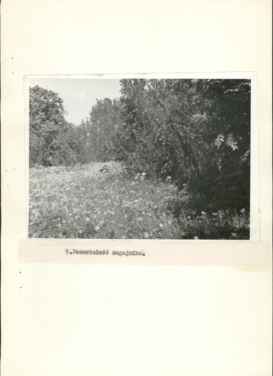 EP - Ewidencja parkowa, skan nr 18