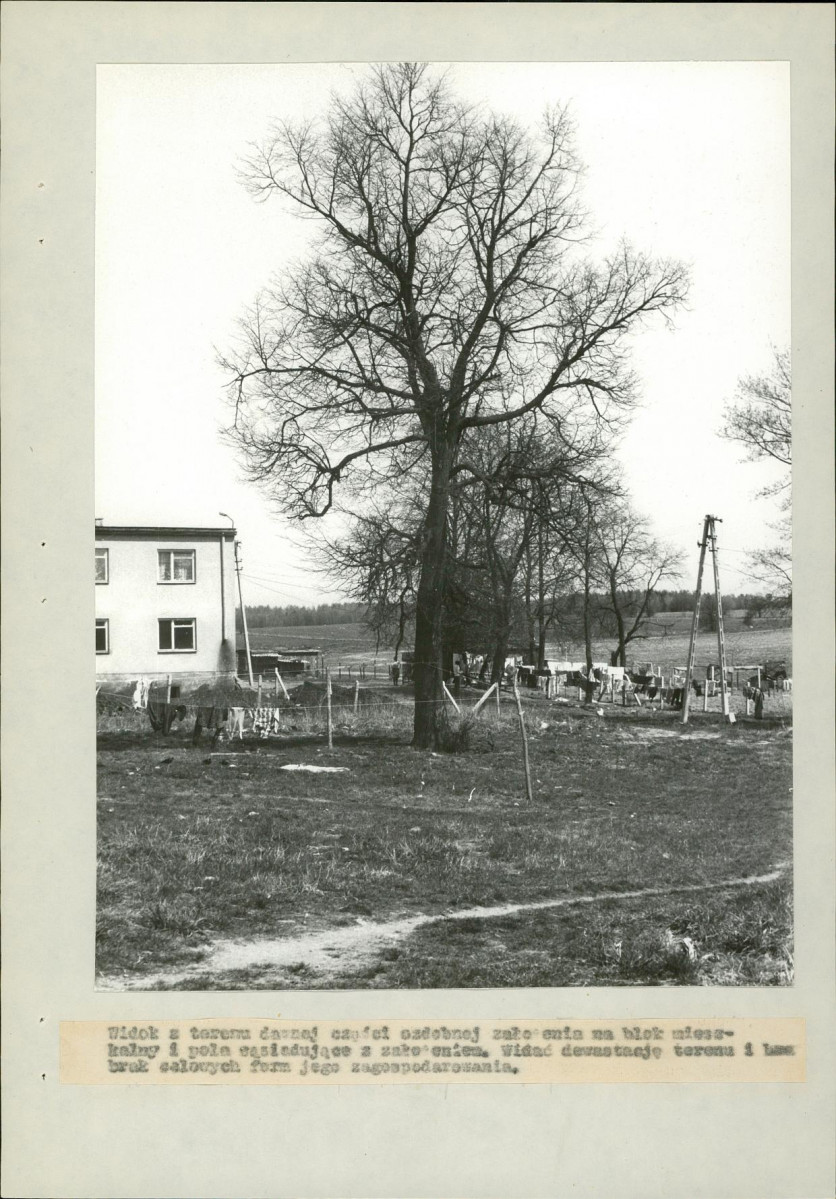 EP - Ewidencja parkowa, skan nr 19