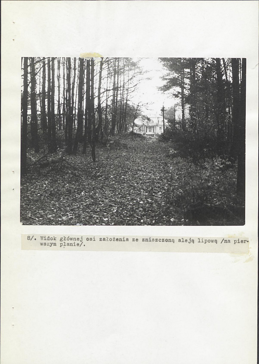 Ewidencja parkowa, skan nr 31