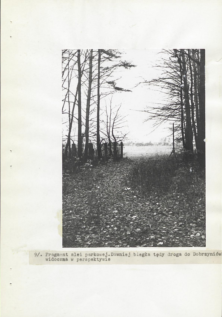 Ewidencja parkowa, skan nr 32