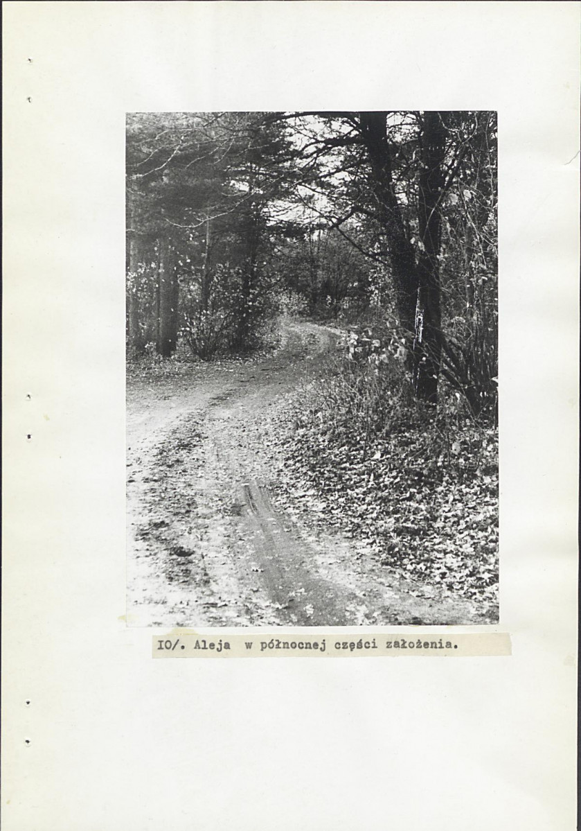 Ewidencja parkowa, skan nr 33