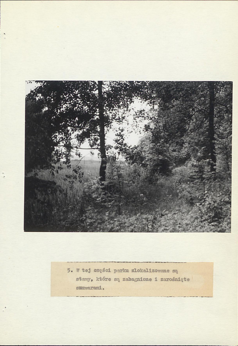 EP - Ewidencja parkowa, skan nr 20