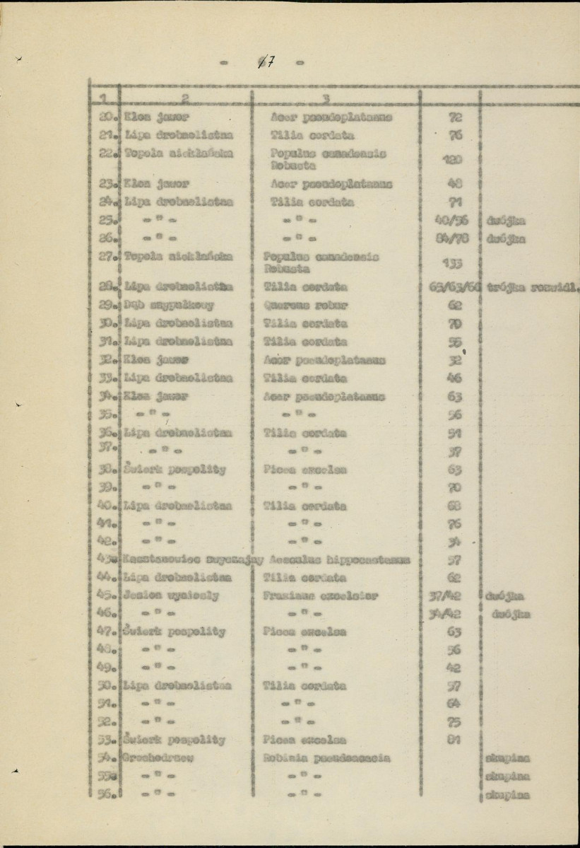 Ewidencja parkowa, skan nr 13