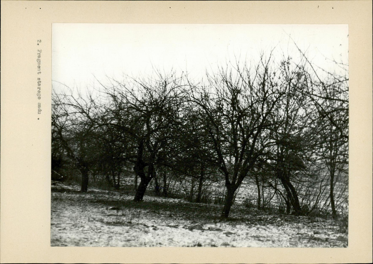 EP - Ewidencja parkowa, skan nr 20