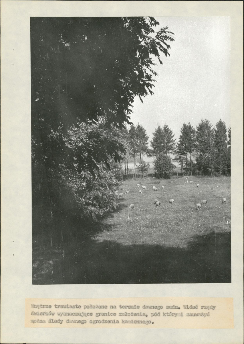 EP - Ewidencja parkowa, skan nr 20