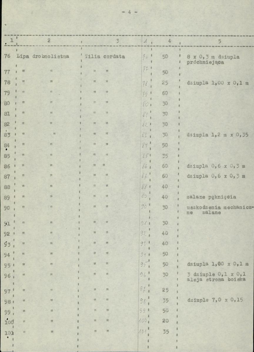 Ewidencja parkowa, skan nr 17