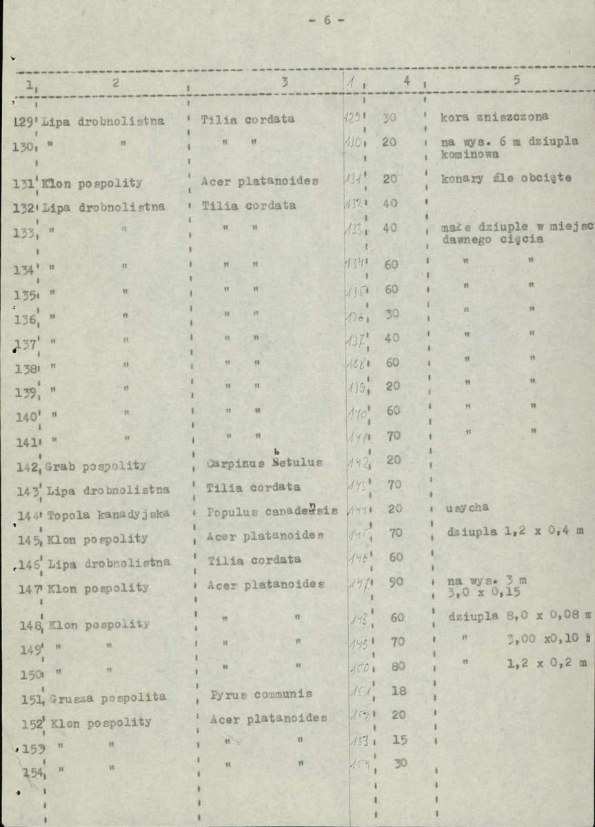 Ewidencja parkowa, skan nr 19